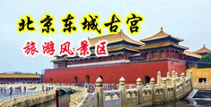 妹子骚B中国北京-东城古宫旅游风景区